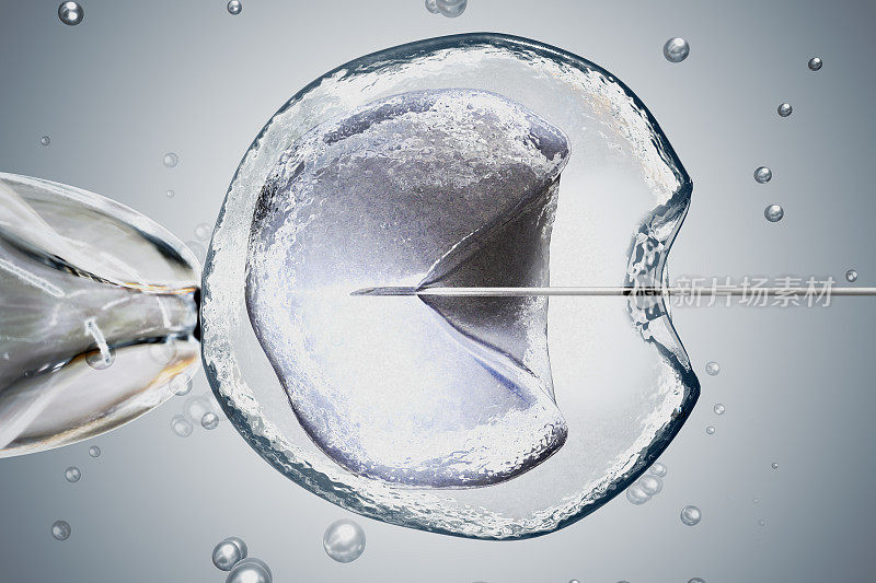 体外受精(IVF)的实验室显微镜研究。3 d渲染插图。